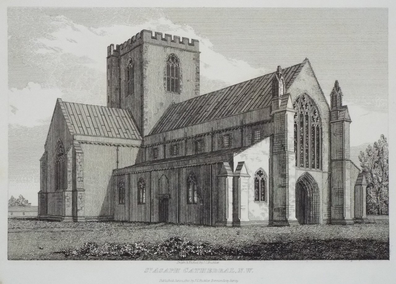 Etching - St. Asaph Cathedral, N.W. - Buckler